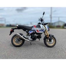 2022-2024 HONDA GROM 125 Evo Megaphone System
